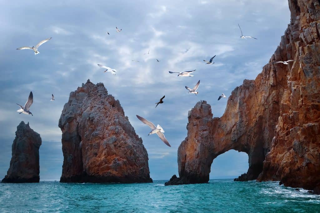 Los Cabos Marketing Agency